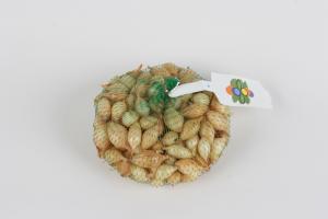 Oignon Sturon - 250 g 